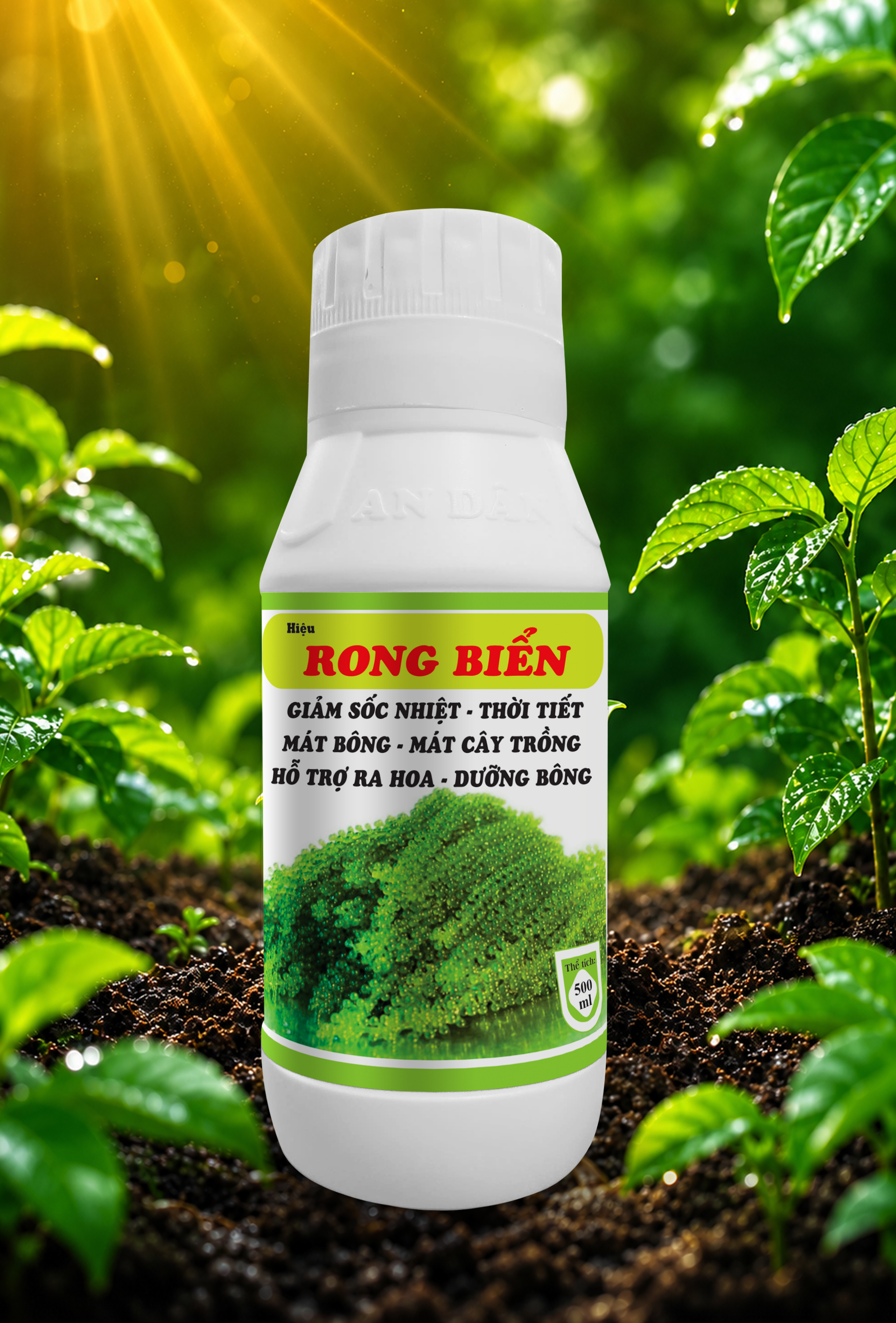 RONG BIỂN 0.5L